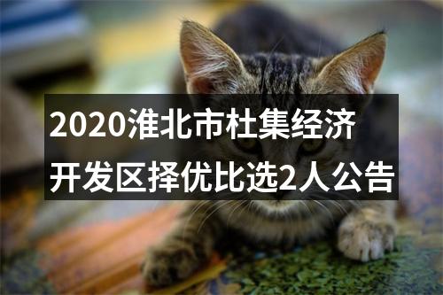 2020淮北市杜集经济开发区择优比选2人公告 图片