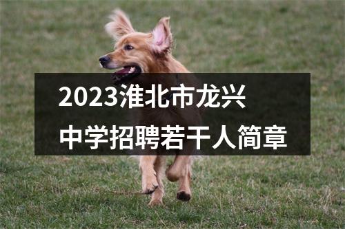 2023淮北市龙兴中学招聘若干人简章 图片