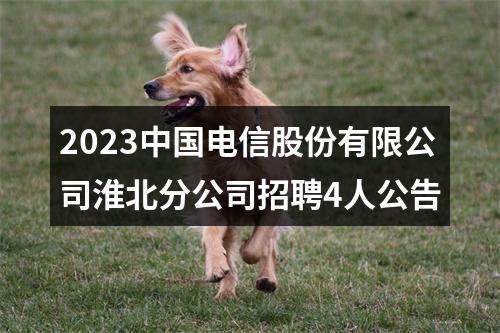 2023中国电信股份有限公司淮北分公司招聘4人公告 图片