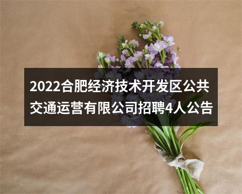 2022合肥经济技术开发区公共交通运营有限公司招聘4人公告 图片
